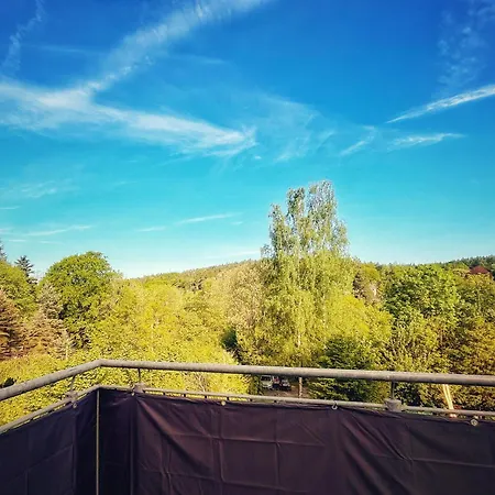 Quartier - Alte Steigerbaude アパート